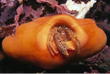 独立解谜游戏《秘密城堡》定档4月25日，宣传片发布